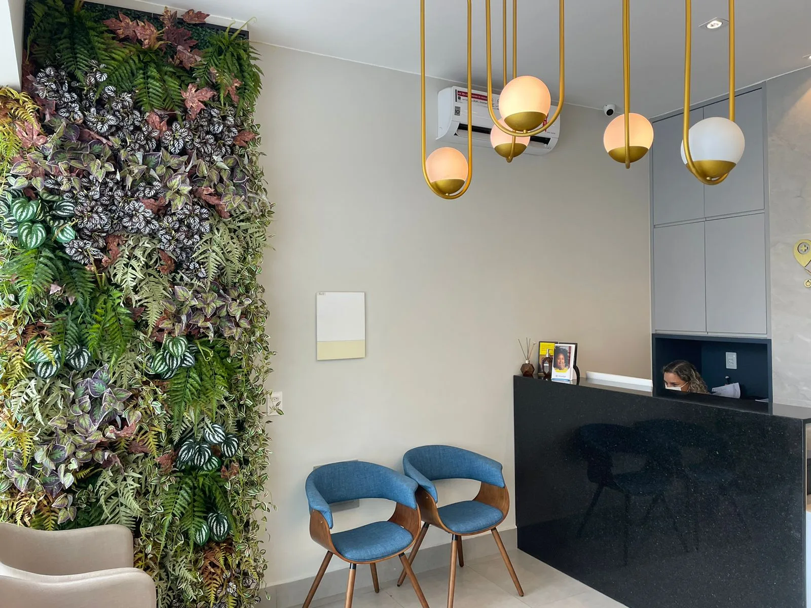 Sala de espera da Clinisul com jardim vertical